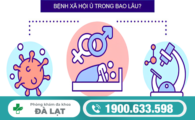 Hình ảnh minh họa